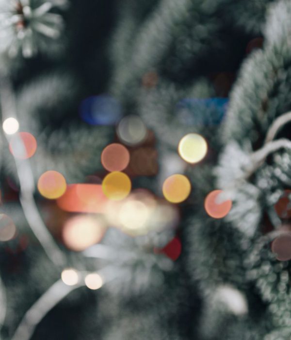 HTH Festive Image Hero