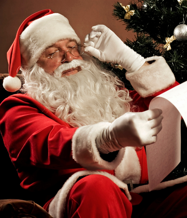Sunday Lunch with Santa (9)
